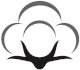 Logo Algocotton